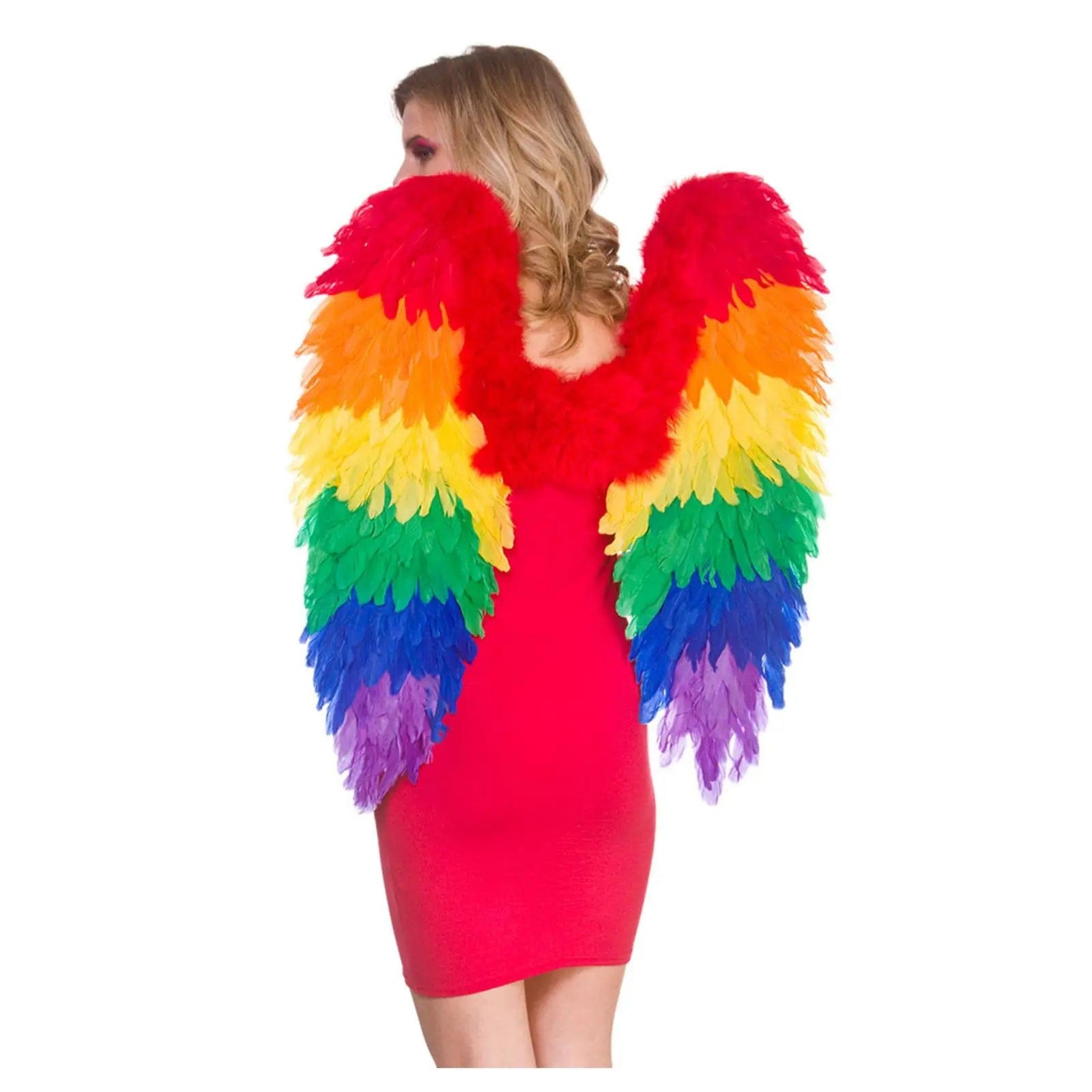 Adults Large Rainbow Feather Wings Pride Festival 75cm