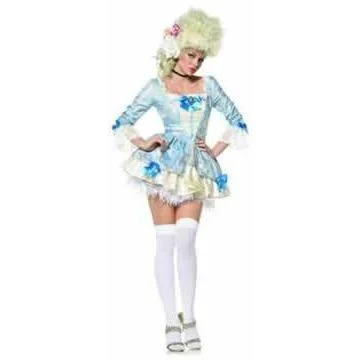 Marie Antoinette Costume - Hire